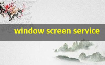  window screen service
